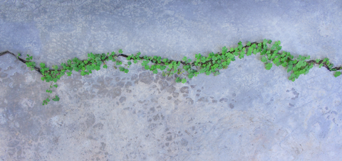 Bærekraft og begreper - hva og hvorfor?